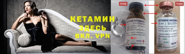 a pvp Бородино