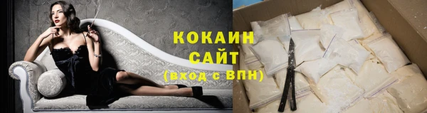 a pvp Бородино