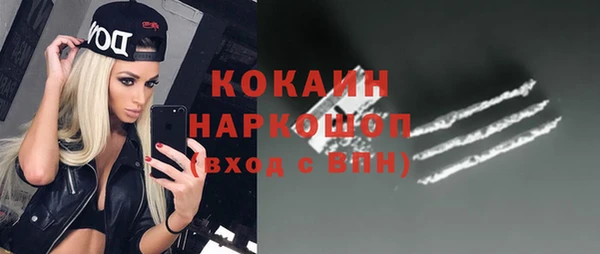 a pvp Бородино
