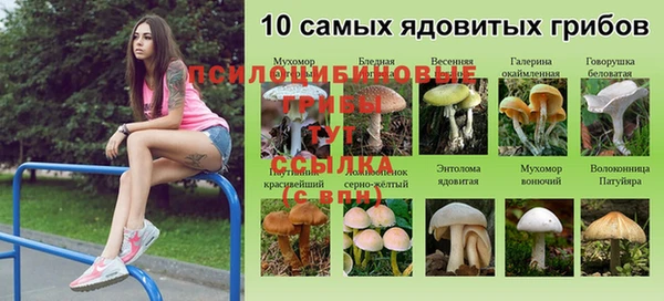 эйфоретик Бронницы