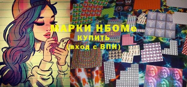 a pvp Бородино